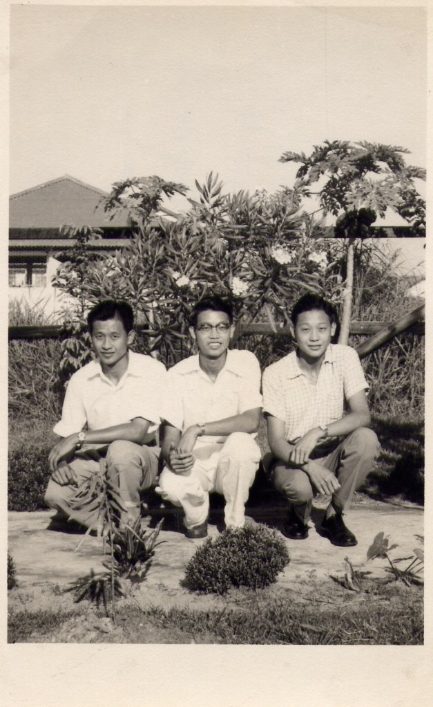 Brothers Wah, Ying & I - taken at our house in Seria - 1954