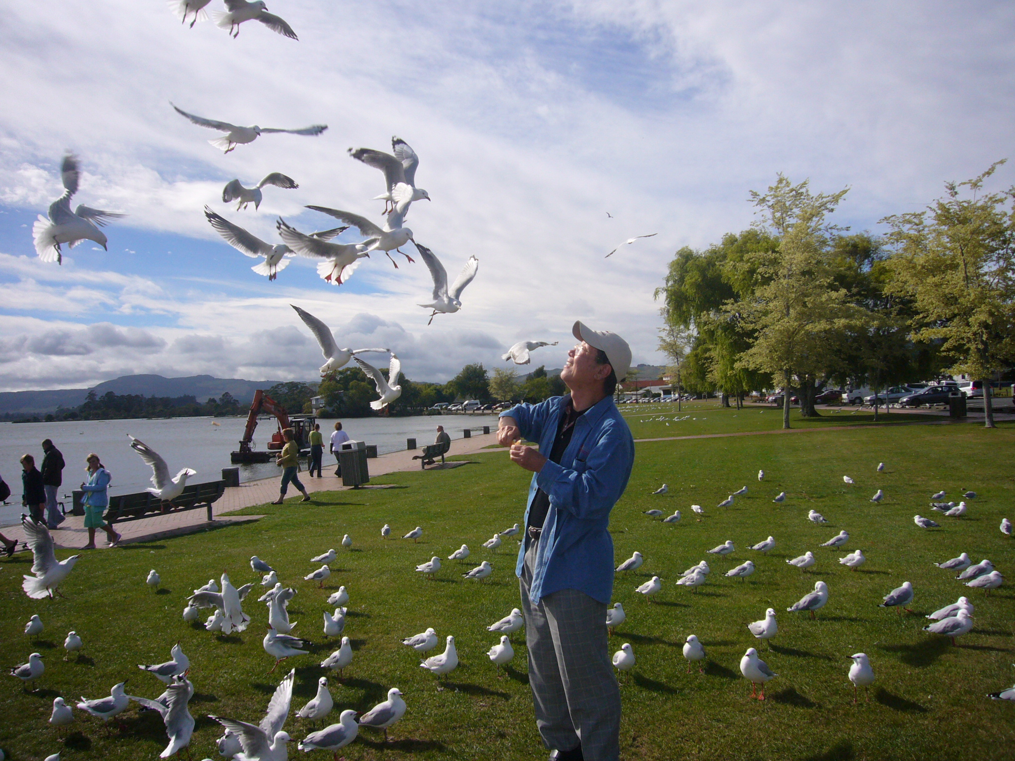 Author: Chong See Kui Batch 5 1951